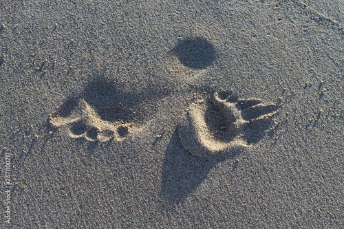 Footprint of a human and a dog in the sand at dusk. Both are moving in the opposite direction