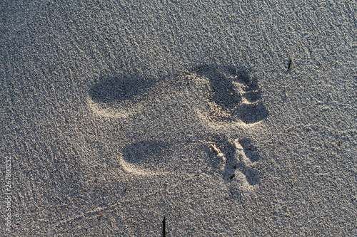 child and parent footprints in the sand