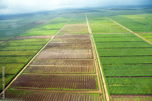 Bird's-eye view of the fields with water channels, taken from the plane, suburb of Georgetown, Guyana.