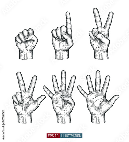 Hand drawn hands set. Zero, one, two, three, four, five gestures. Template for your design works. Engraved style vector illustration.
