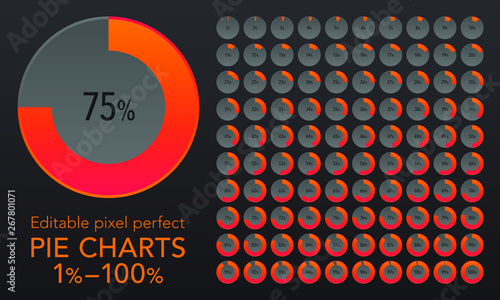Set of pie chart infographic elements, 1-100%.