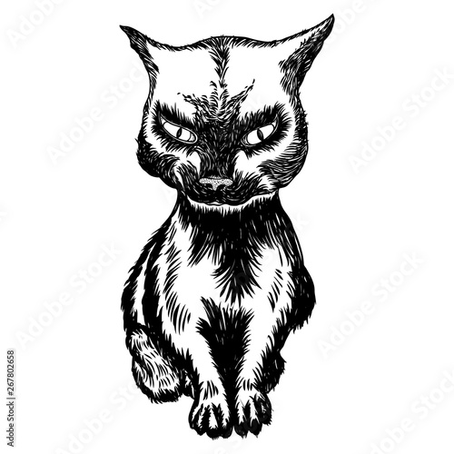 Black cat seating portrait. Halloween background. Witchcraft magic, occult attribute decorative element. Vector.