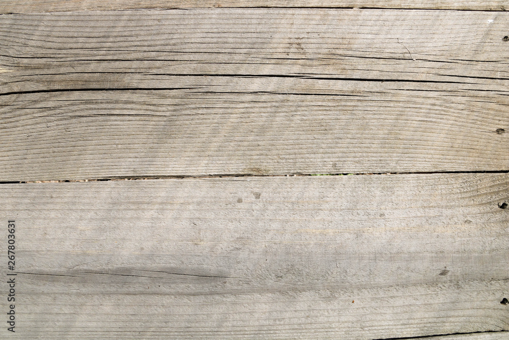 Texture Background of an tree oak with knots and cracks. Gray sawn wooden board. Detailed macro of old wood surface. Natural plank. Close up. Texture Background of an tree oak with knots and cracks. Gray sawn wooden board. Detailed macro of old wood surface. Natural plank. Close up.