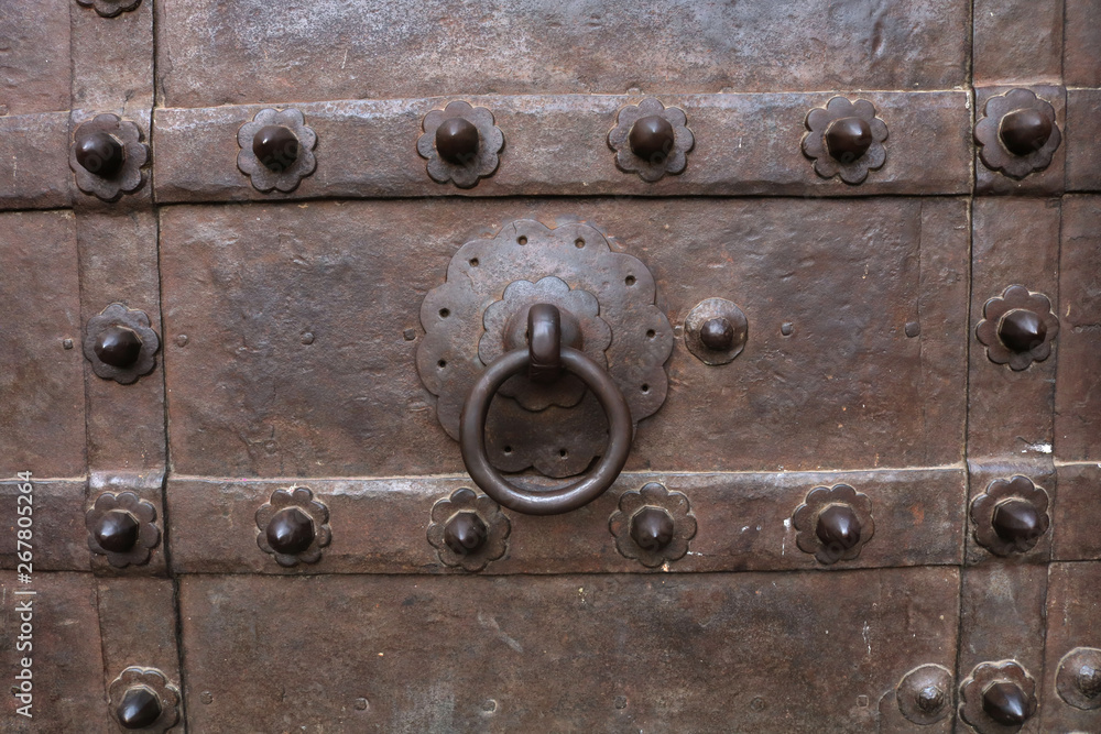 old metal ring on door metal door - Image