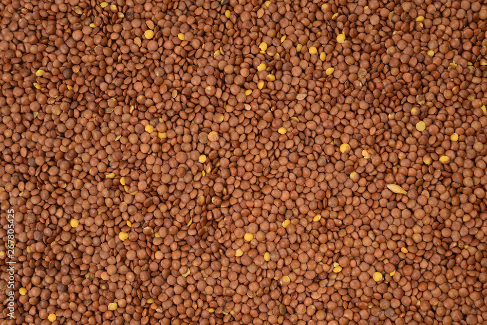 Lentils as a background. Top view. Lentils as a background. Top view.