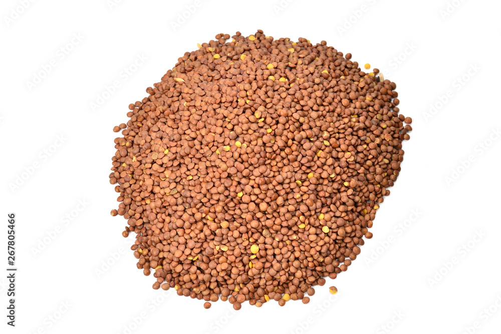 Lentils isolated on a white background. Lentils isolated on a white background.