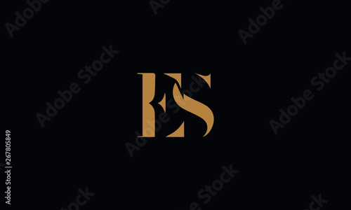 ES logo design template vector illustration © Prestige Studio