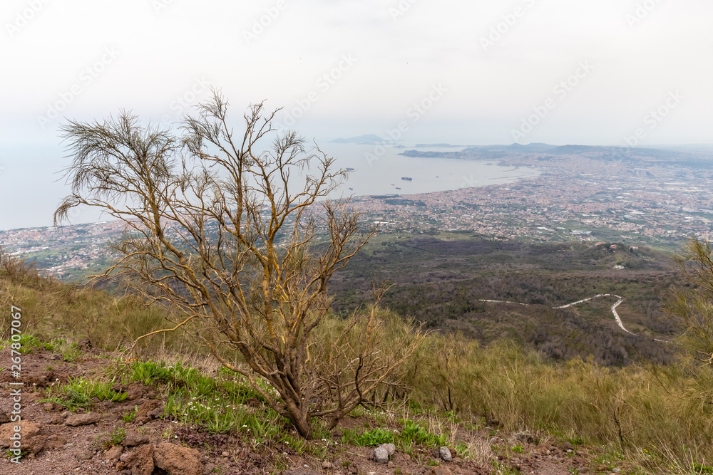 on the slopes of the crater of Vesuvius