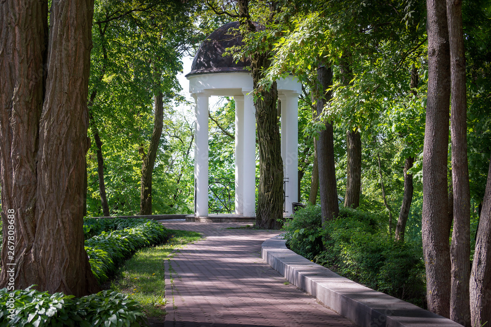 Beautiful white arbor in a city park. Beautiful white arbor in a city park.