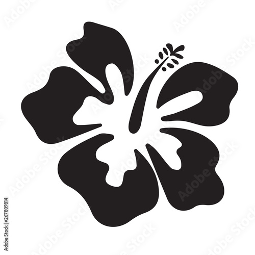 Summer hibiscus beautiful flower vector illustration