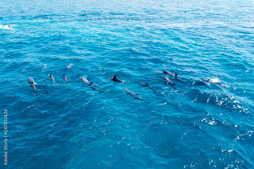 Naklejka premium Hurghada Egypt