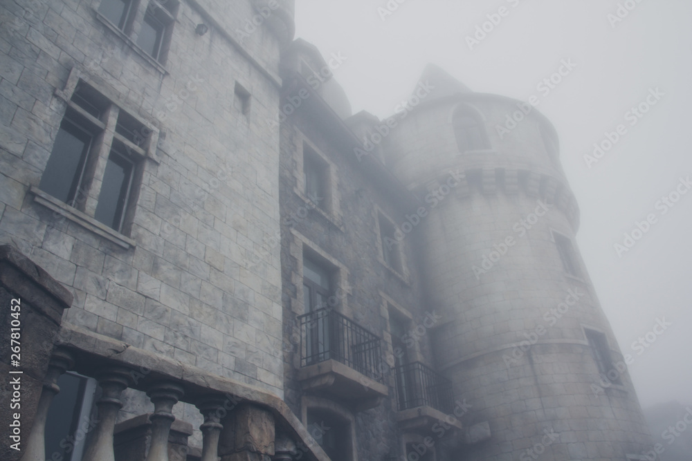 Fototapeta premium castle in the mist
