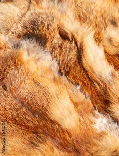 natural ginger material animal fur