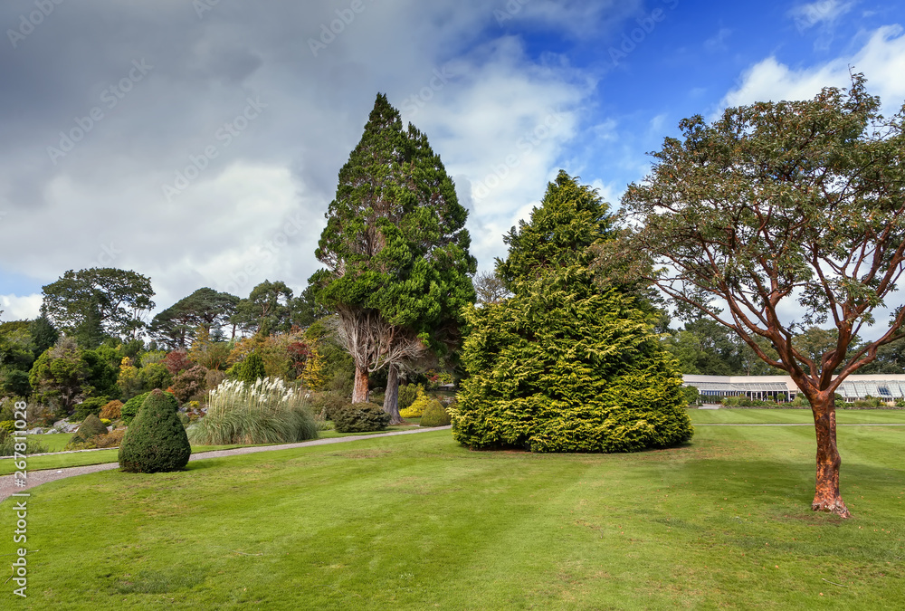 Muckross Garden, Ireland