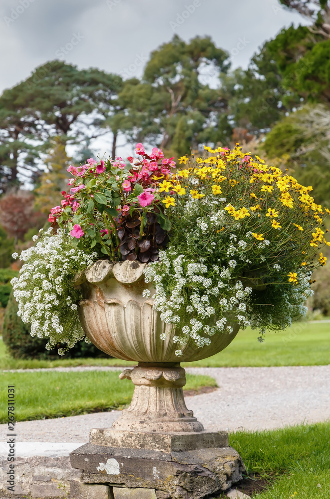 Muckross Garden, Ireland Muckross Garden, Ireland