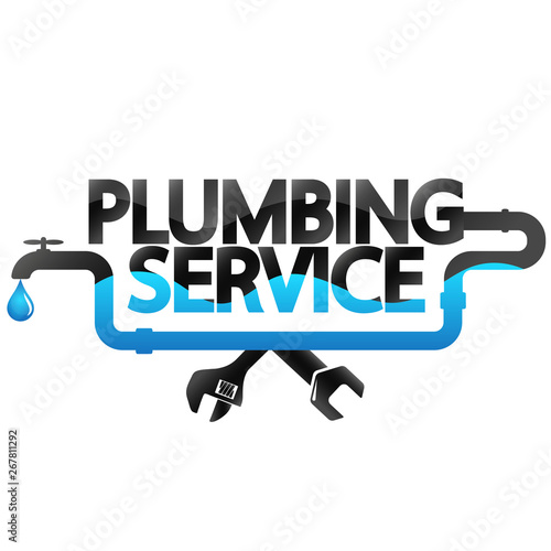 Repair and service of plumbing and water pipes