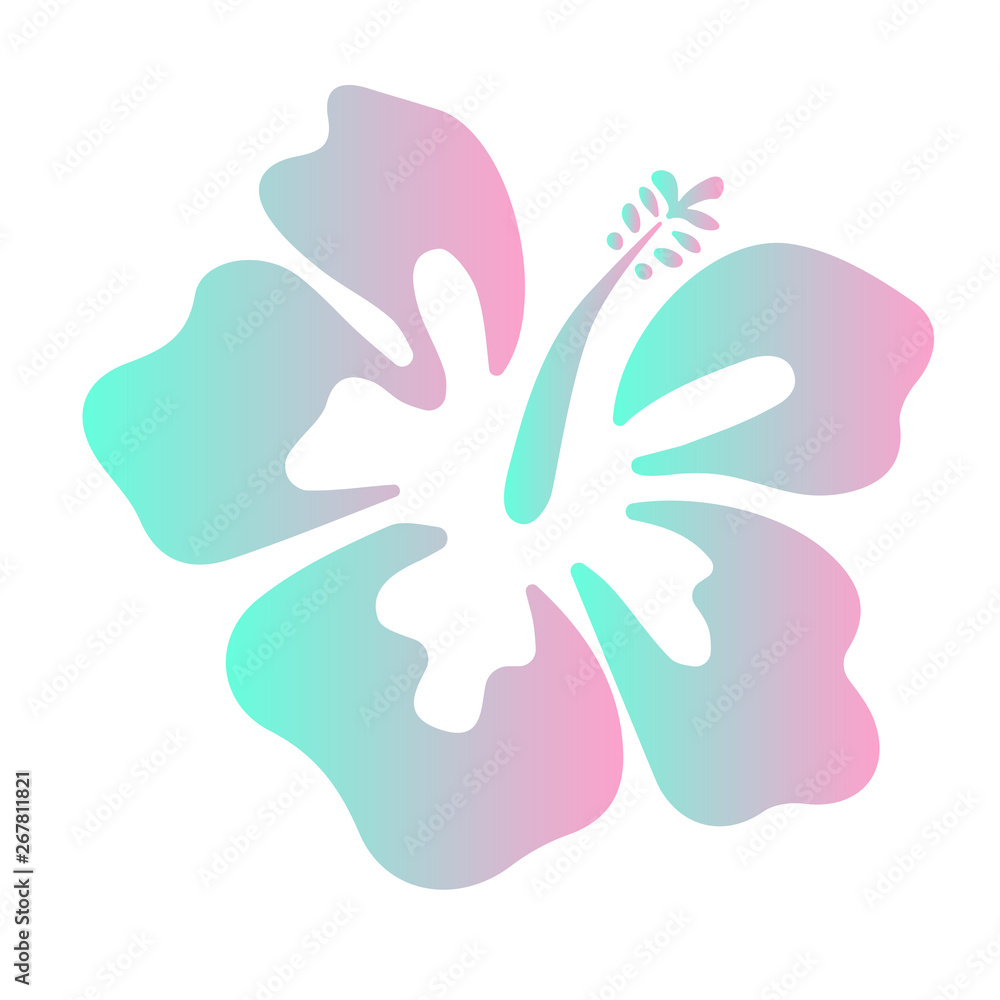 Summer hibiscus beautiful flower vector illustration Summer hibiscus beautiful flower vector illustration