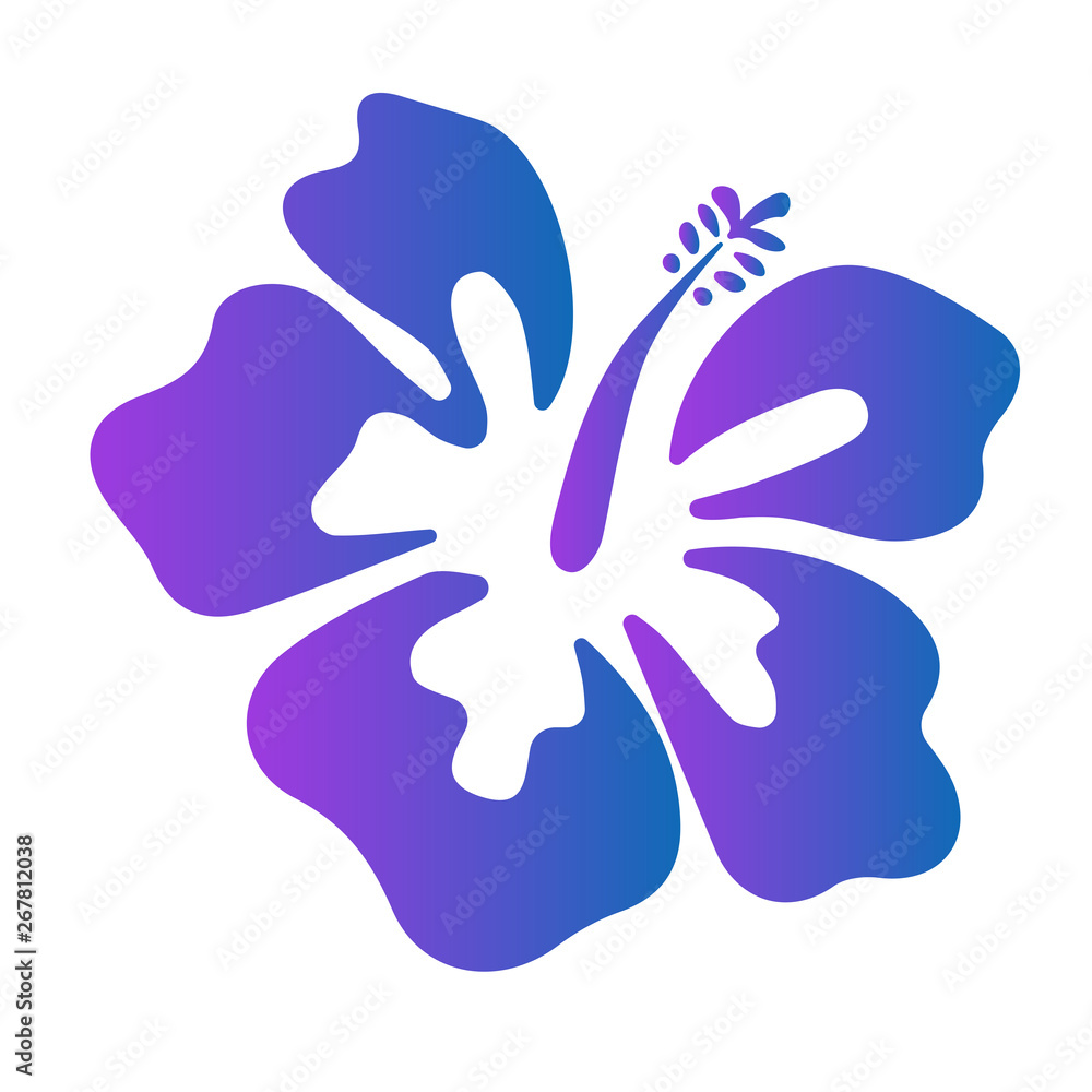 Summer hibiscus beautiful flower vector illustration Summer hibiscus beautiful flower vector illustration