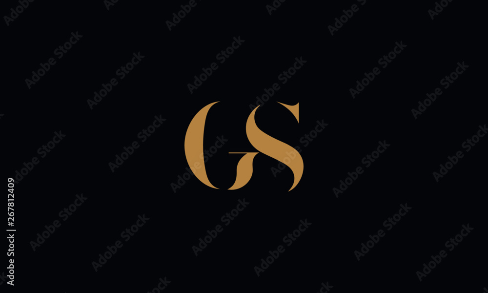 GS logo design template vector illustration minimal design GS logo design template vector illustration minimal design