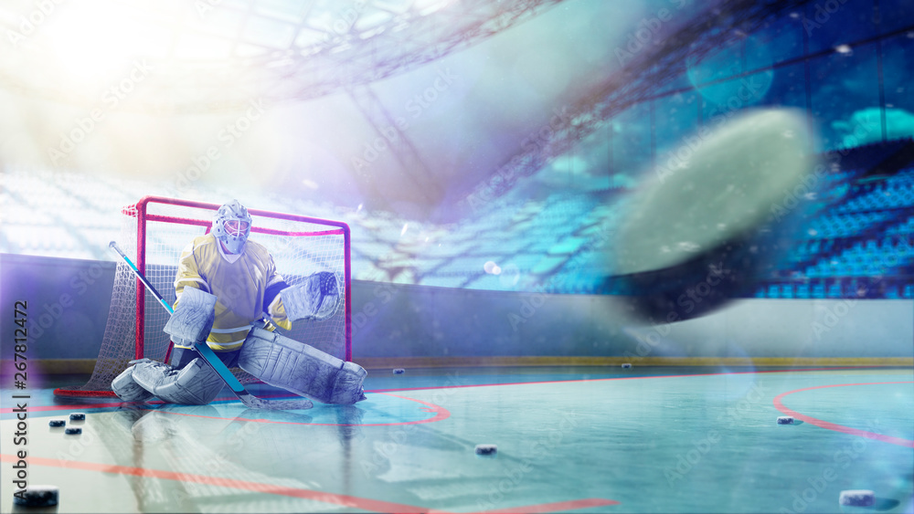 Professional ice hockey goalkeeper in action on grand arena