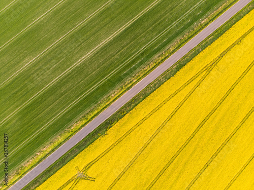Yellow colza field and green corn aerial view directly from above
