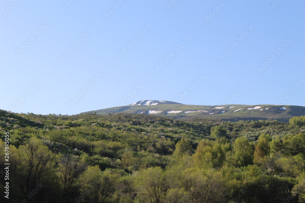 Fototapeta premium view of mountains