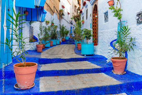 Blue Stairway with Potted Plants in Chefchaouen Morocco © James