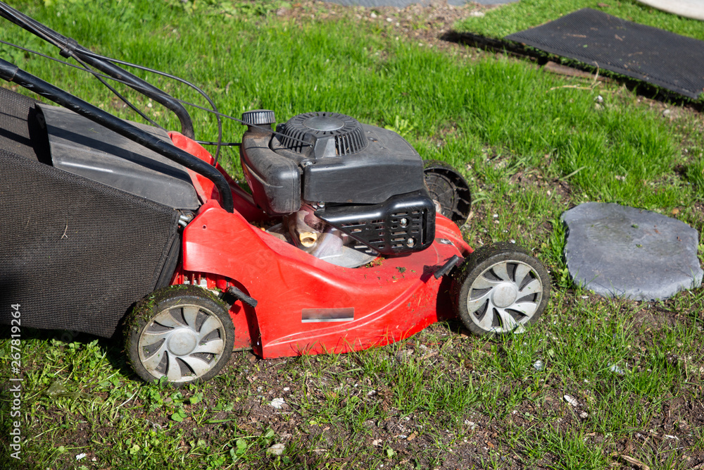 Red Lawn Mower Garden for Mowing the green grass Red Lawn Mower Garden for Mowing the green grass