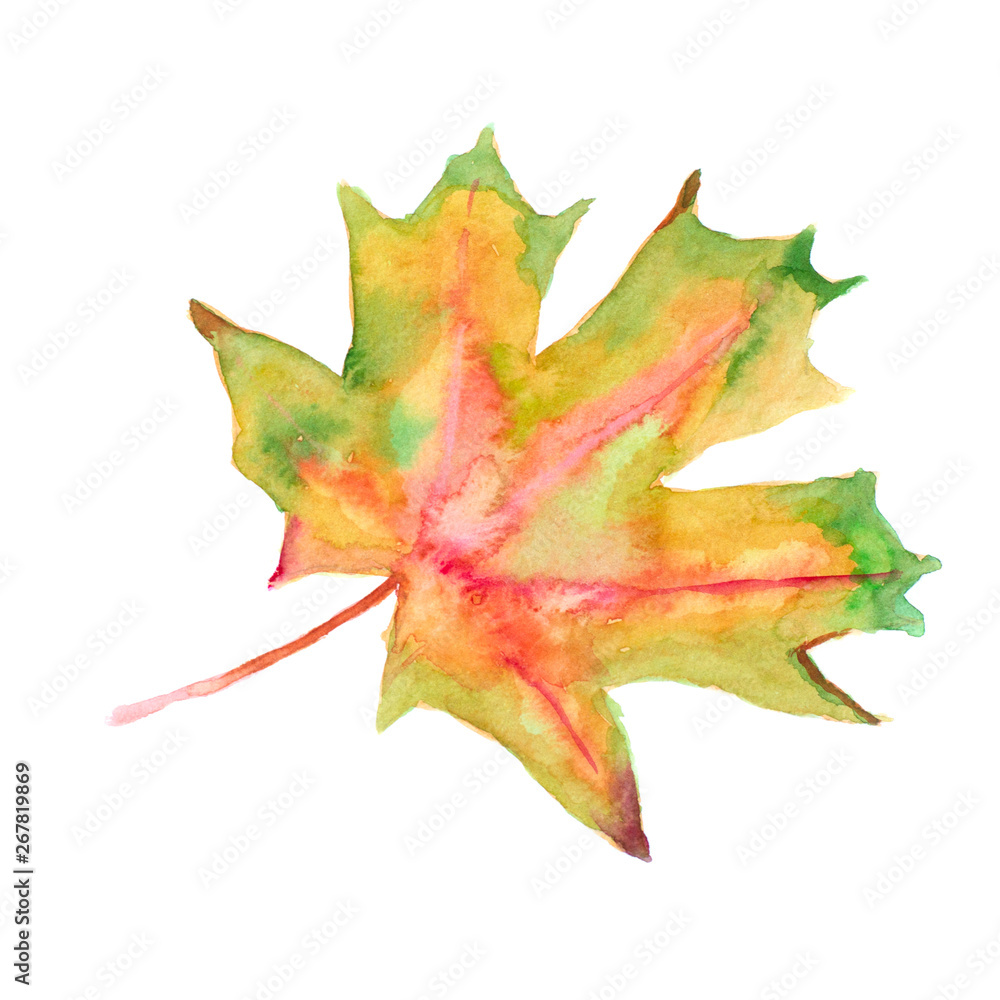 Watercolor autumn leaf. Fall foliage. Autumnal design. Seasonal decorative beautiful multi-colored drawing leaves. Original artwork. Watercolor autumn leaf. Fall foliage. Autumnal design. Seasonal decorative beautiful multi-colored drawing leaves. Original artwork.