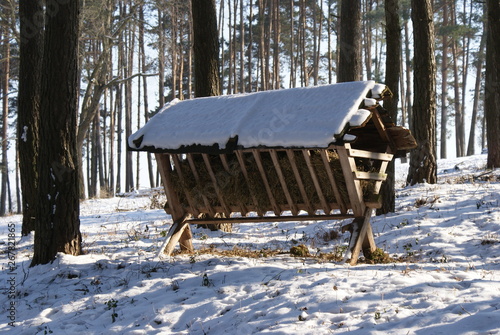 Wallpaper Mural SONY DSC Torontodigital.ca