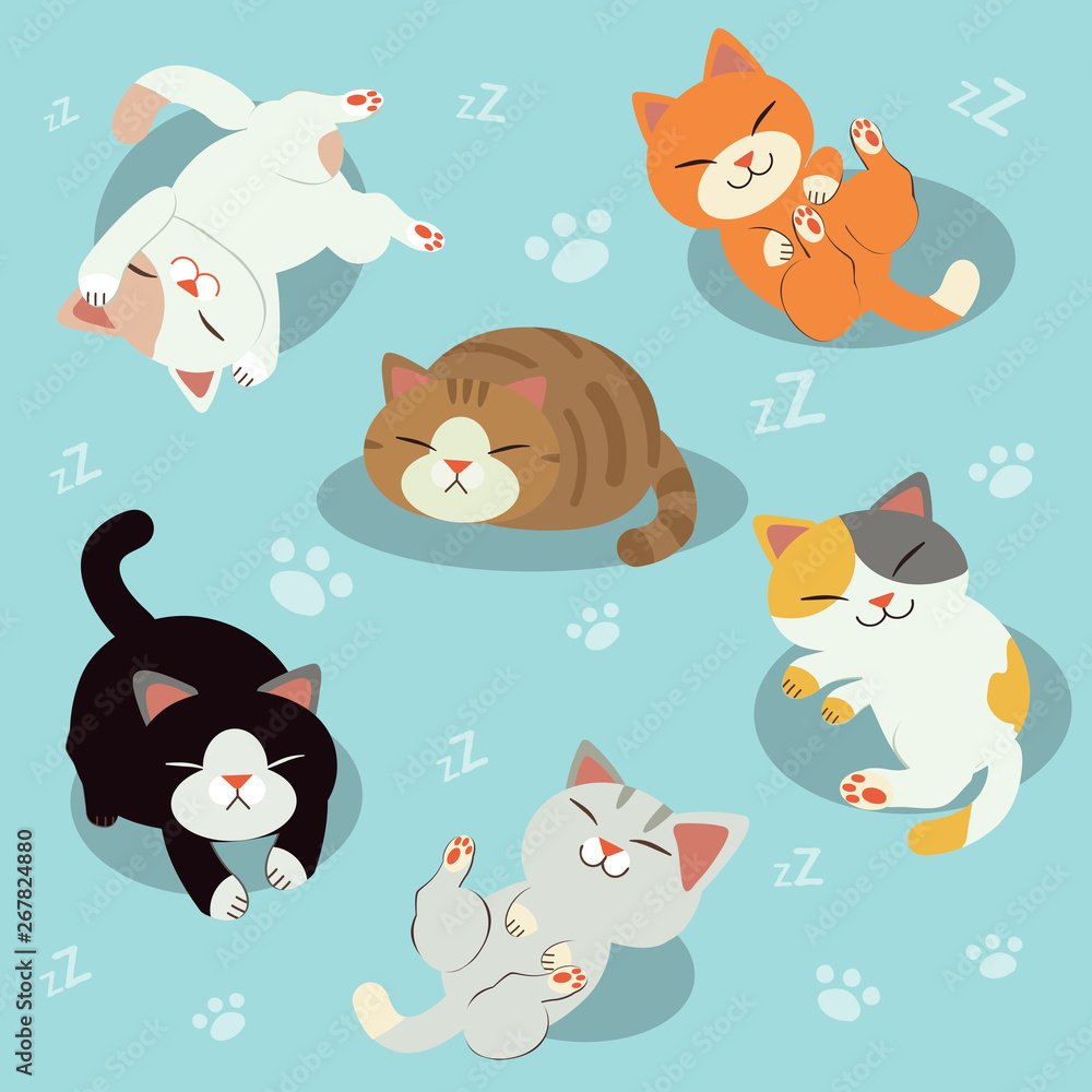 A group of cute cat. sleepy cat. cat relaxing. relaxtime. A group of cute cat. sleepy cat. cat relaxing. relaxtime.