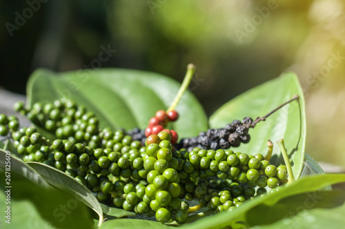  Close-up of fresh green pepper,ripe,black and leaf on wood floor.