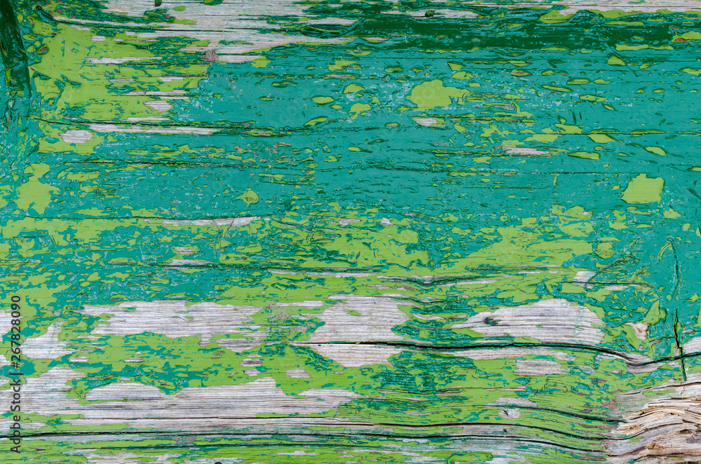 Texture of green rustic wood for background