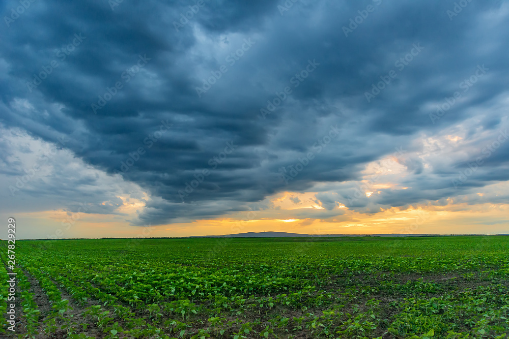 Storm over the fields. Dark storm clouds over a Fruska Gora, Serbia.