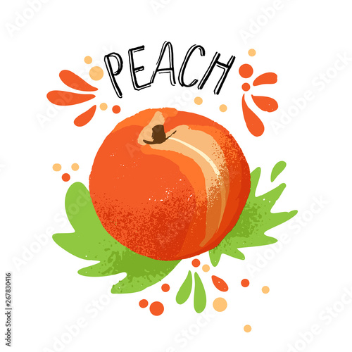 Vector hand draw peach illustration. Orange ripe peaches with juice splash isolated on white background. Textured peach with splashes, juice tropical fruit with word Peach on top. Fresh silhouette