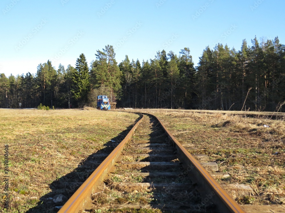 Narrow Gauge Railroad Train Railways Detail Perspective during Day with