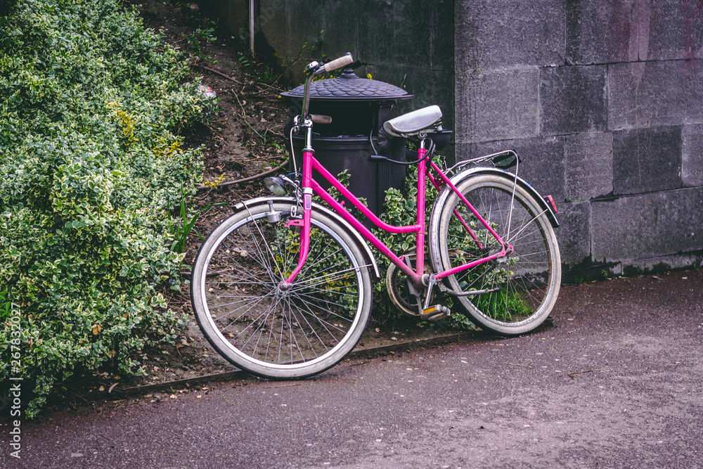 Vintage pink bicycle sitting next to a white flower bush and a metallic dumpster in a park during day time – Classic and fast way of transportation in the city