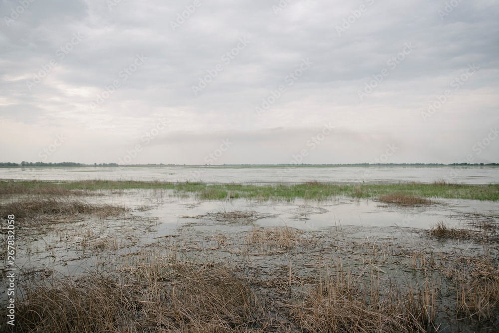 A field flooded with water in spring. Spring flood. Water spilled in spring in a field A field flooded with water in spring. Spring flood. Water spilled in spring in a field