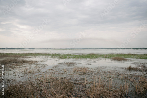 A field flooded with water in spring. Spring flood. Water spilled in spring in a field