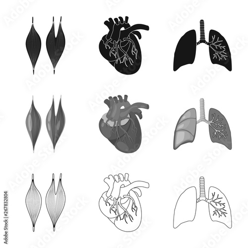 Isolated object of biology and scientific sign. Collection of biology and laboratory stock vector illustration.