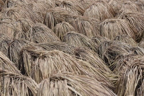 straw heads