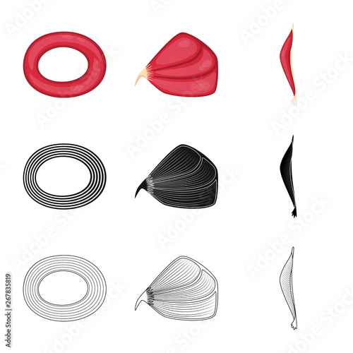 Isolated object of fiber and muscular icon. Set of fiber and body  stock symbol for web.