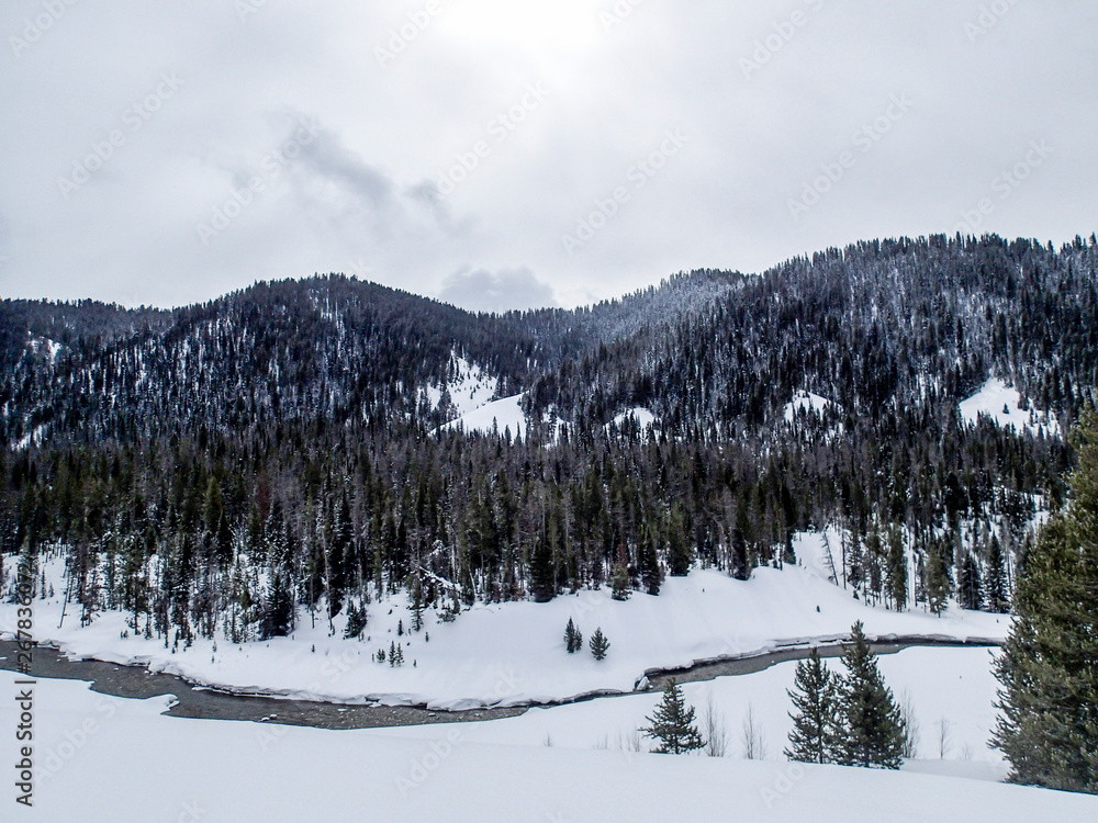Snowy River Landscape in Jackson, Wyoming