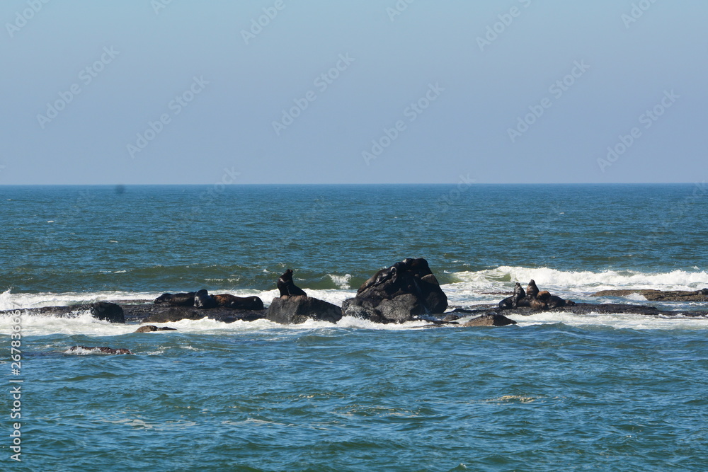 Fototapeta premium torres- rs