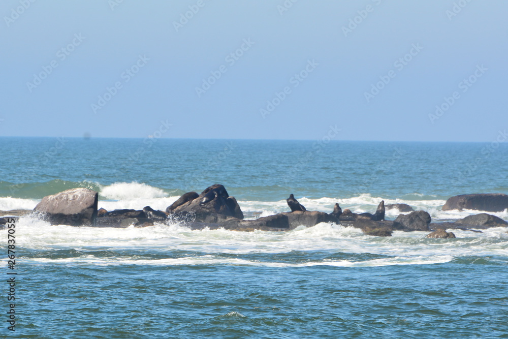 Fototapeta premium torres- rs