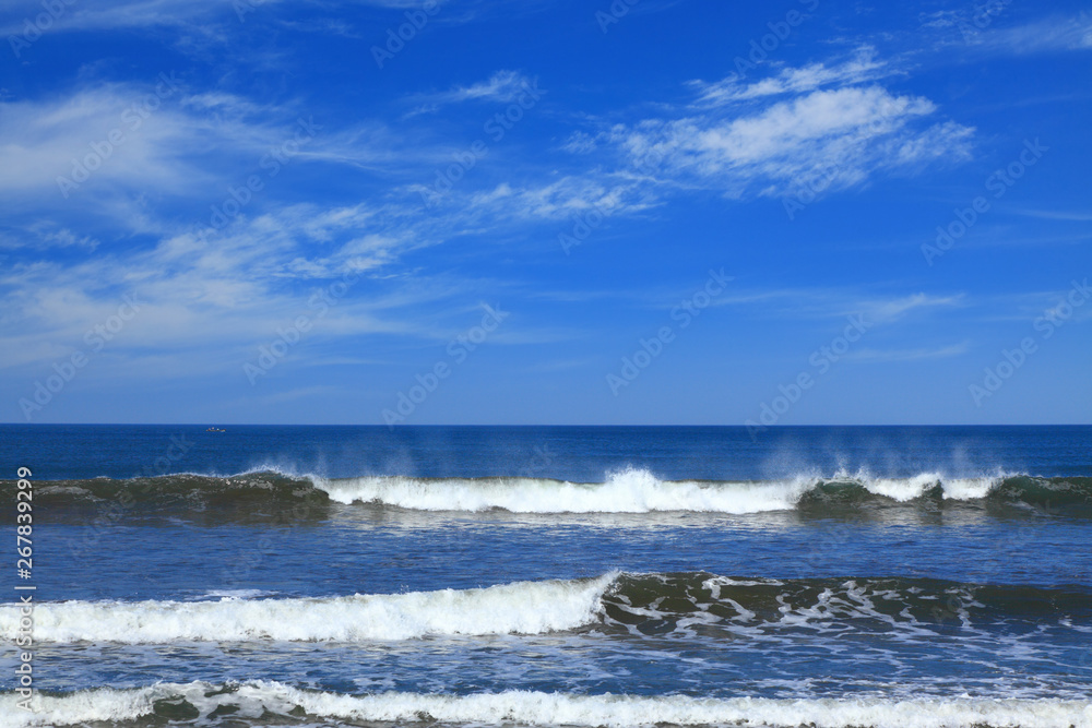 sea surf sea surf