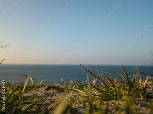 Close up of golden grass in the early spring. Backgorund is a calm ocean.