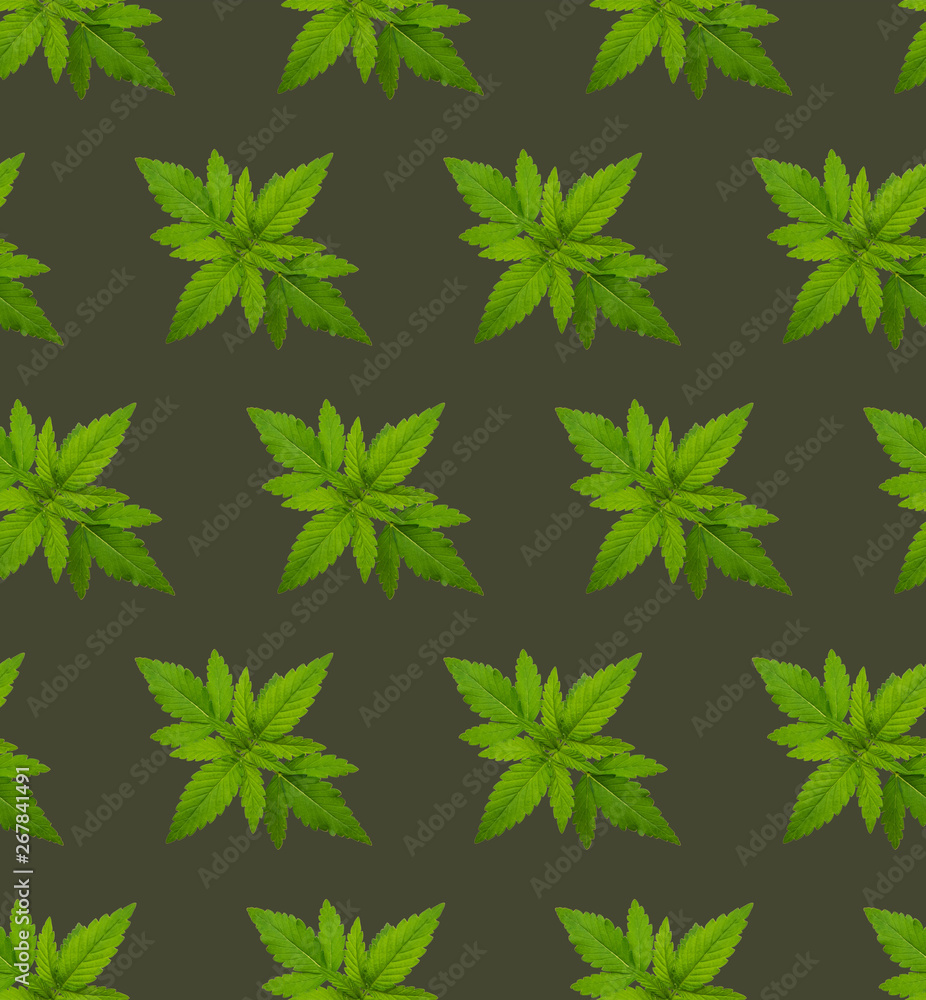 Seamless Marijuana Pattern 