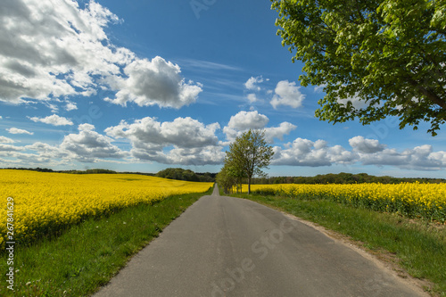 stimmungsvolle Wolken über Rapsfelder 