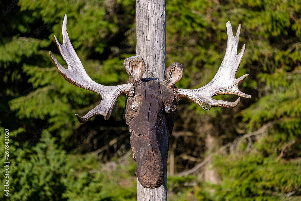 Fototapeta premium Elch Skulptur aus Holz